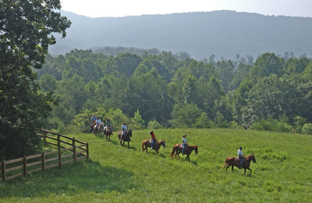 Brasstown Valley Resort & Spa Young Harris Kültér fotó